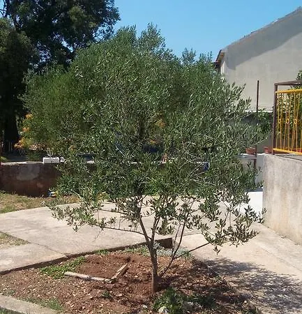 Apartman Marko Šibenik
