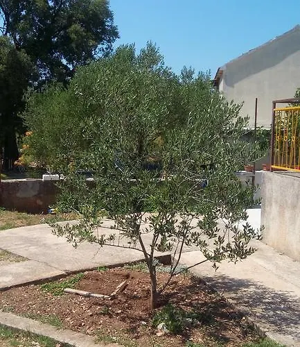 דירה Marko שיבניק